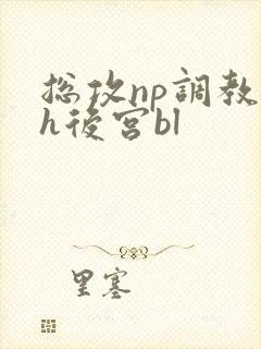 总攻np调教高h后宫bl