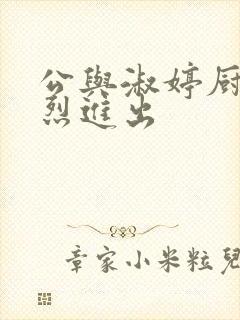 公与淑婷厨房猛烈进出