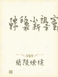 他的小祖宗甜又野 最新章节封面