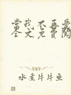 当我不再爱你时全文免费阅读封面