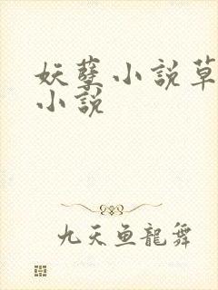 妖孽小说草莓酱小说