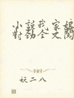 小说我家娘子不对劲全文阅读免费