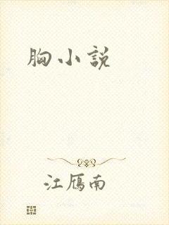 胸小说