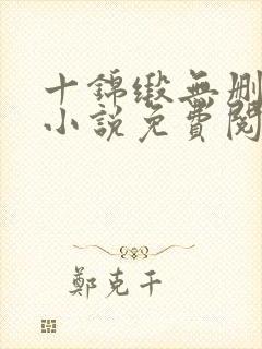 十锦缎无删原著小说免费阅读