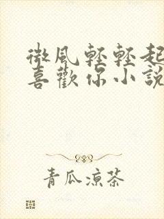 微风轻轻起我好喜欢你小说全文免费阅读