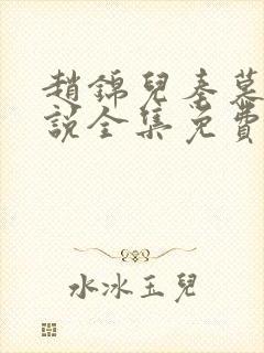 赵锦儿秦慕修小说全集免费