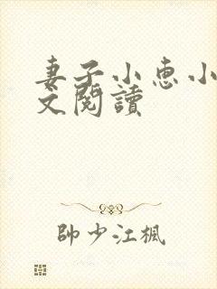 妻子小惠小说全文阅读