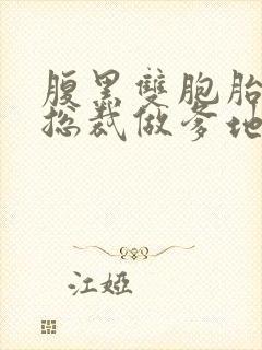 腹黑双胞胎抢个总裁做爹地免费阅读