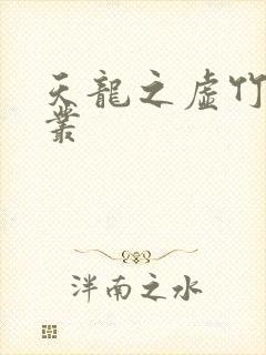 天龙之虚竹戏花丛封面