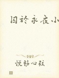 囚于永夜小说封面