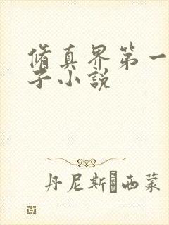 修真界第一病秧子小说