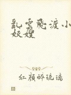 乱云飞渡小说之姣嫂封面