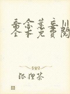 乔念叶妄川小说全本免费阅读无弹窗