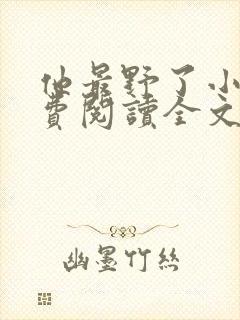 他最野了小说免费阅读全文