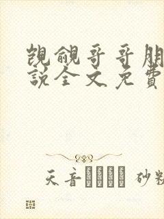 觊觎哥哥朋友小说全文免费阅读完结