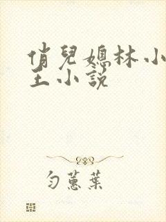 俏儿媳林小雅老王小说