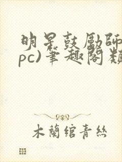 明星鼓励师(npc)笔趣阁类似