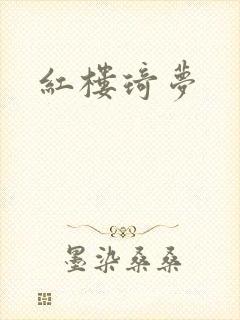 红楼琦梦