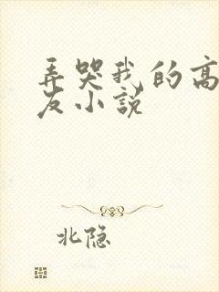 弄哭我的高冷室友小说