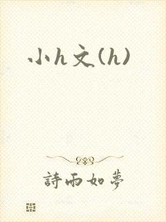 小h文(h)