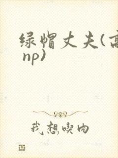 绿帽丈夫(高h np)封面