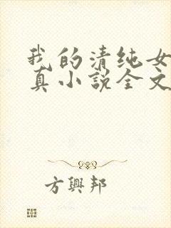我的清纯女友小真小说全文阅读小说