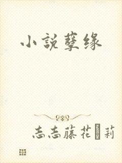 小说孽缘封面