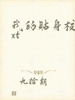 我的贴身校花txt