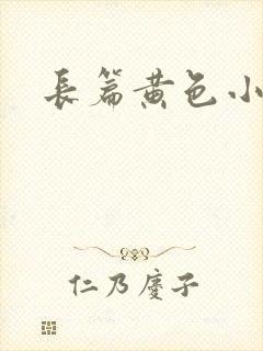 长篇黄色小说