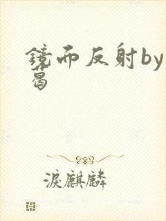 镜面反射by九葛封面