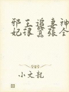 邪王追妻神医狂妃很嚣张全文免费