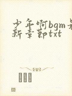少年啊bgm最新章节txt
