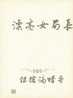 漂亮女局长封面