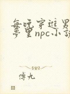 每晚穿进男神的梦里npc小说