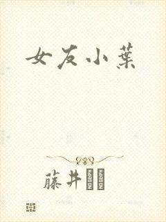 女友小叶封面