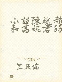小说陈斌赵心媚和高婉君的小说免费阅读