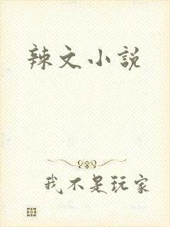 辣文小说