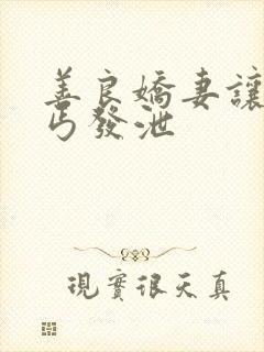 善良娇妻让老乞丐发泄封面