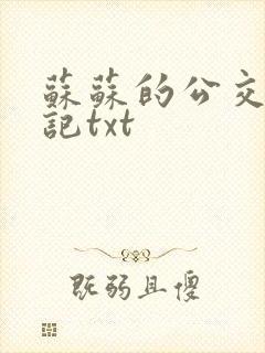 苏苏的公交车日记txt