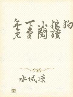 年下小狼狗闻琛免费阅读