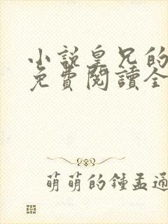 小说皇兄的禁脔免费阅读全文