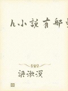h小说有哪些