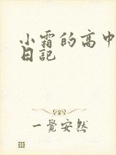 小霜的高中成长日记封面