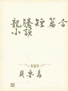 龙腾短篇合集的小说