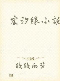 宸汐缘小说