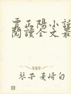 贾正阳小说免费阅读全文最新章节