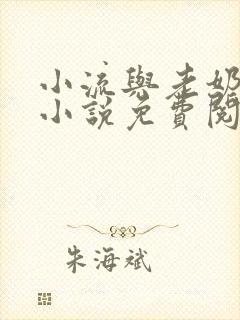 小流与老奶奶的小说免费阅读