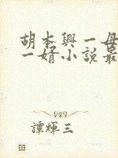 胡本兴一母四女一婿小说最新章节更