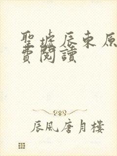 圣墟辰东原文免费阅读封面