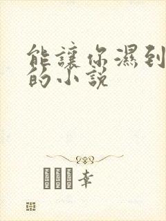 能让你湿到不行的小说